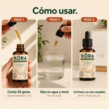 KÖRA