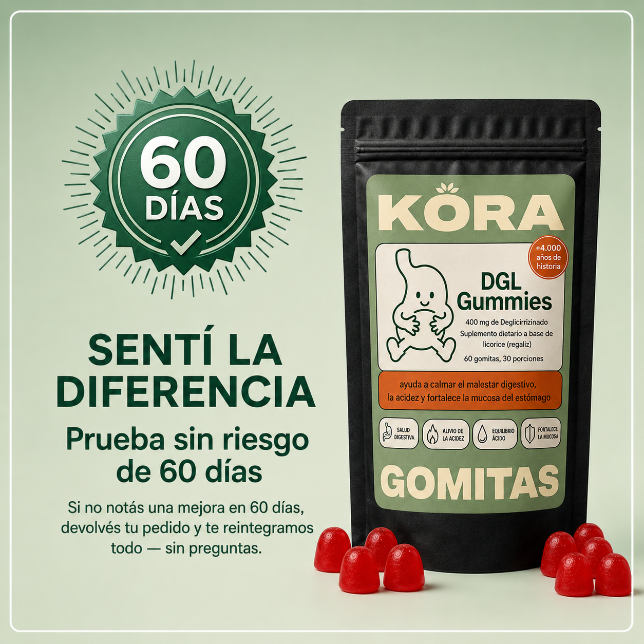 Imagen KORA 8
